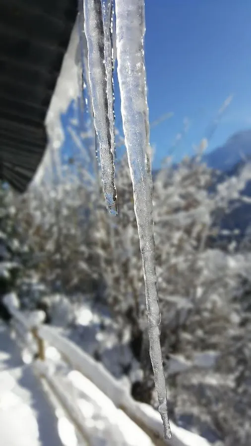 Mazot Hirondelle Βίλα Morzine Σαλέ